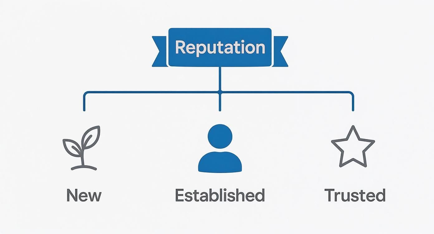 Infographic about linkedin connection request limit