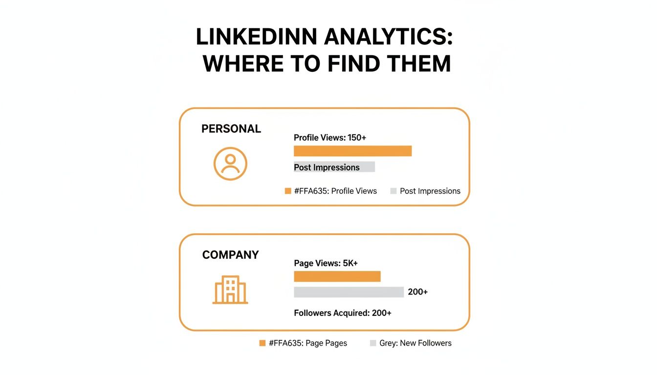 Infographic displaying LinkedIn analytics for personal profiles and company pages, showing views, impressions, and followers.