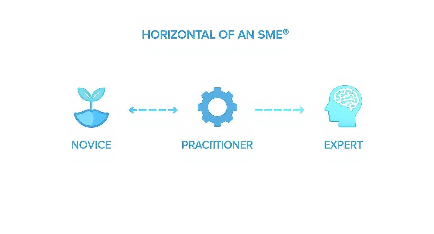 Infographic about how to become a subject matter expert