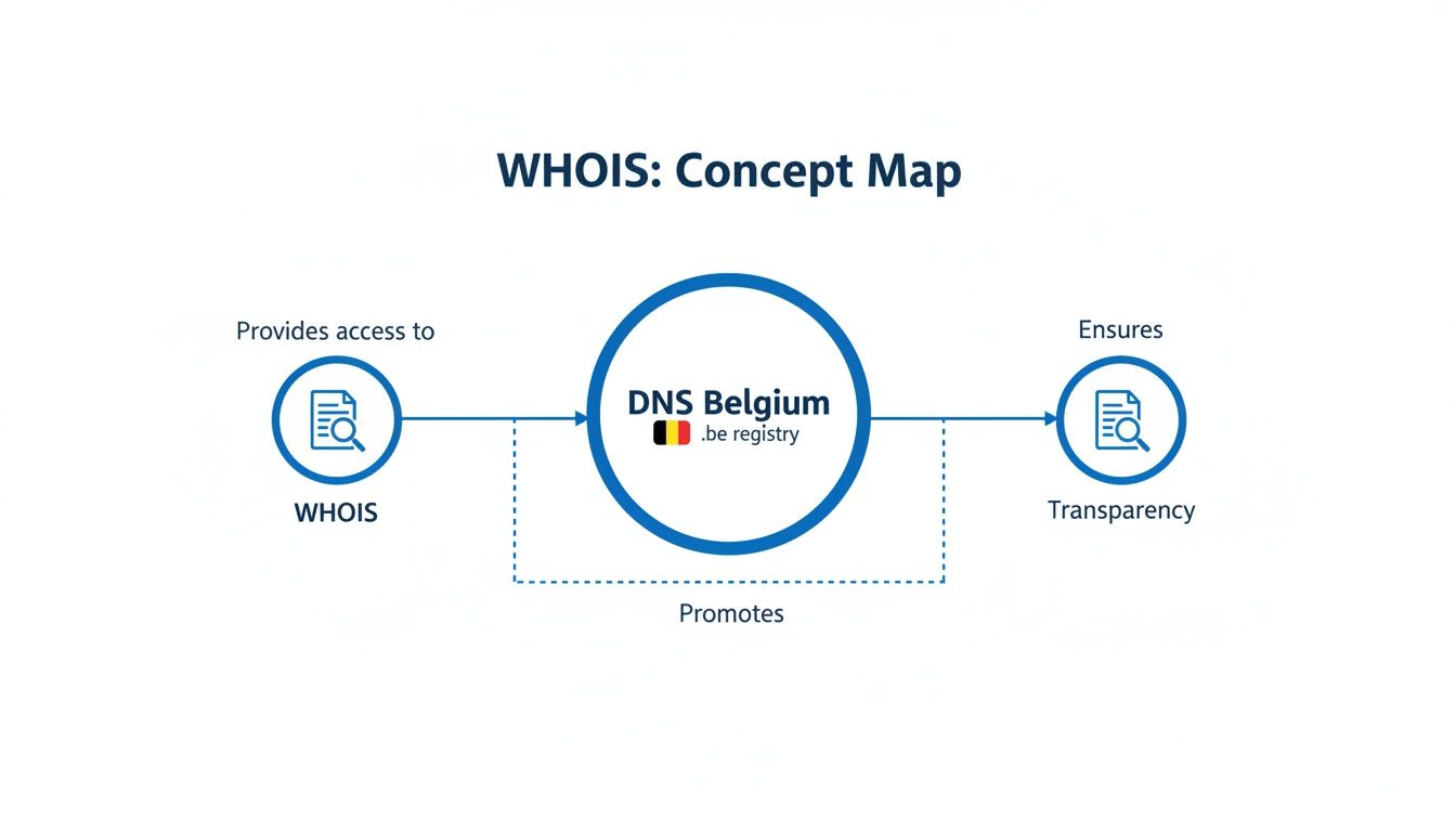 Concept map illustrating WHOIS providing access to DNS Belgium, which ensures transparency and promotes WHOIS services.