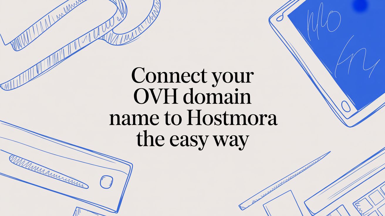 Connect Your OVH Domain Name to Hostmora The Easy Way