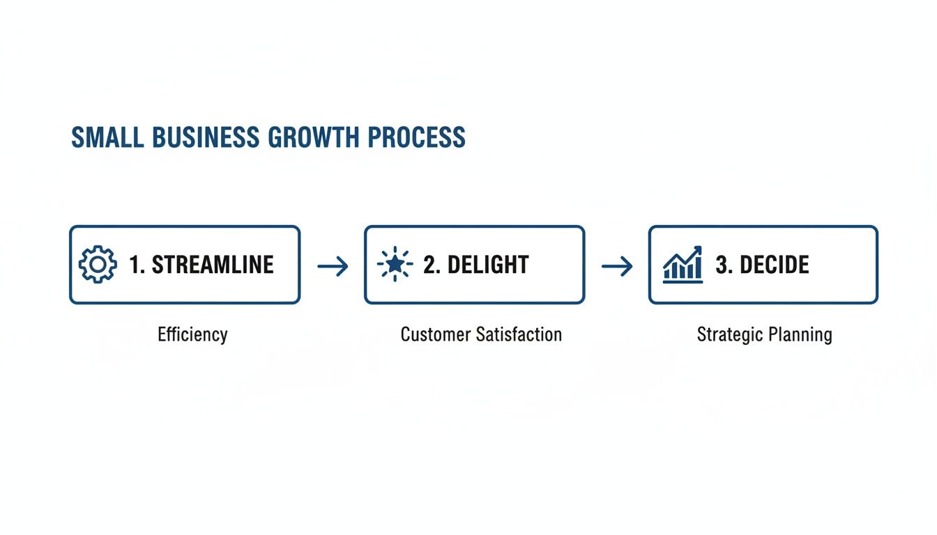 A three-step small business growth process showing streamline, delight, and decide stages.