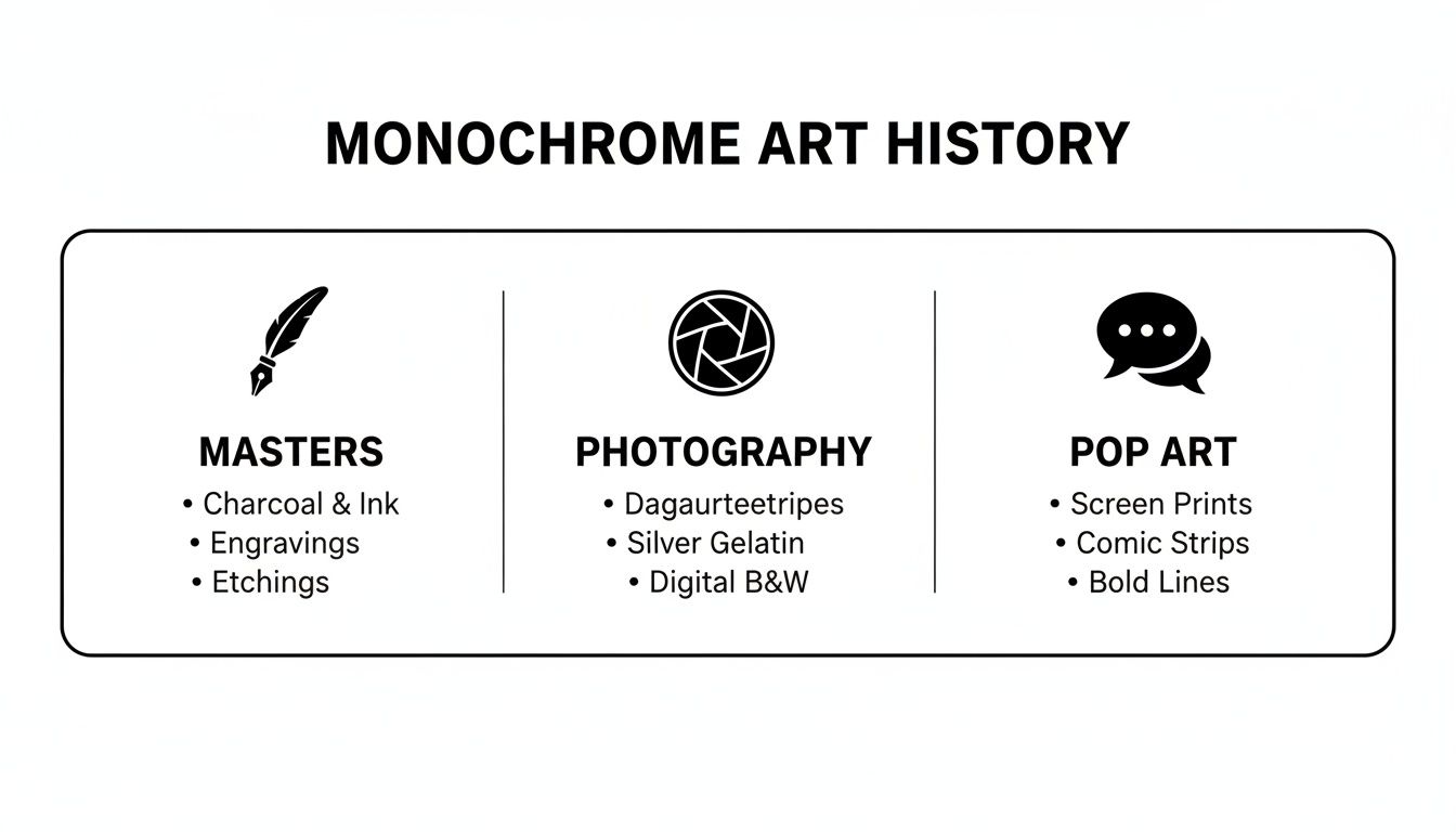 A diagram illustrating the history of monochrome art, covering masters, photography, and pop art techniques.