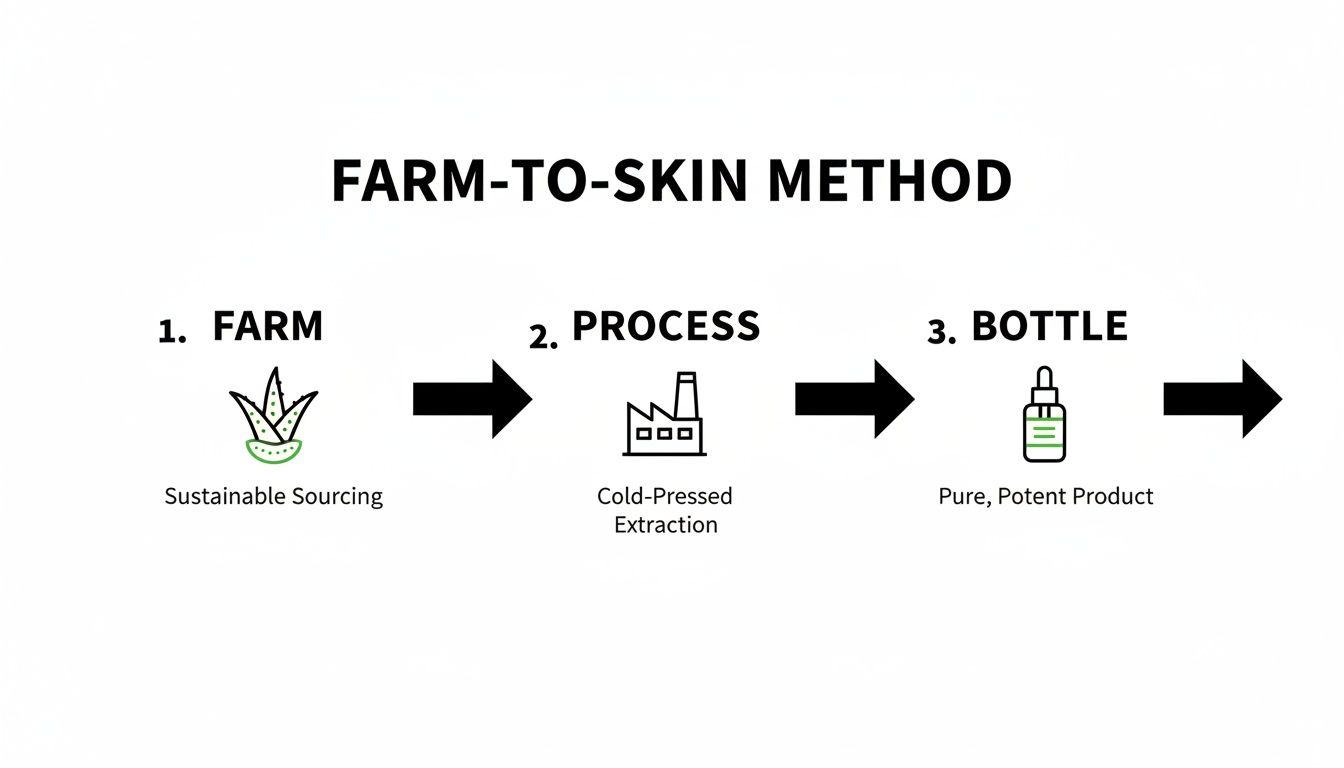 Diagram illustrating the farm-to-skin method for skincare, showing steps from farm to bottle.