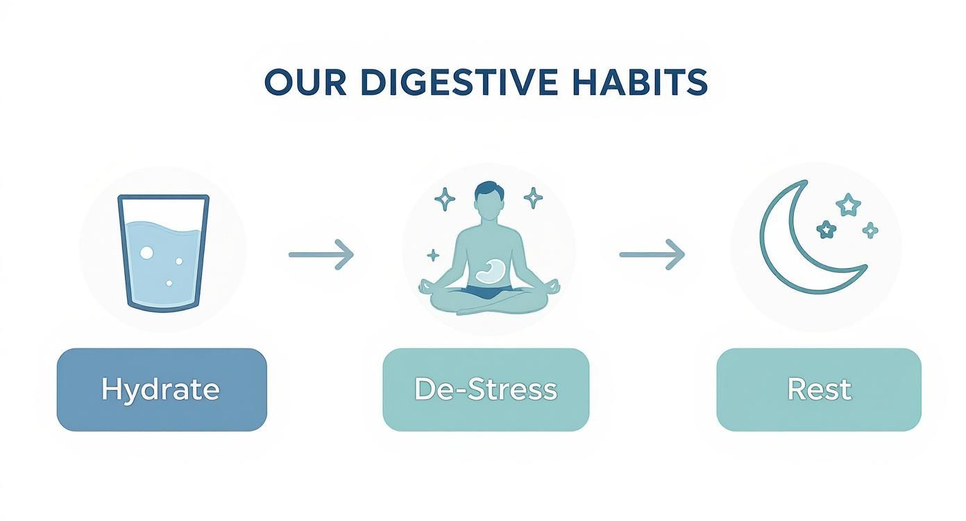 Infographic about natural remedies for gut health