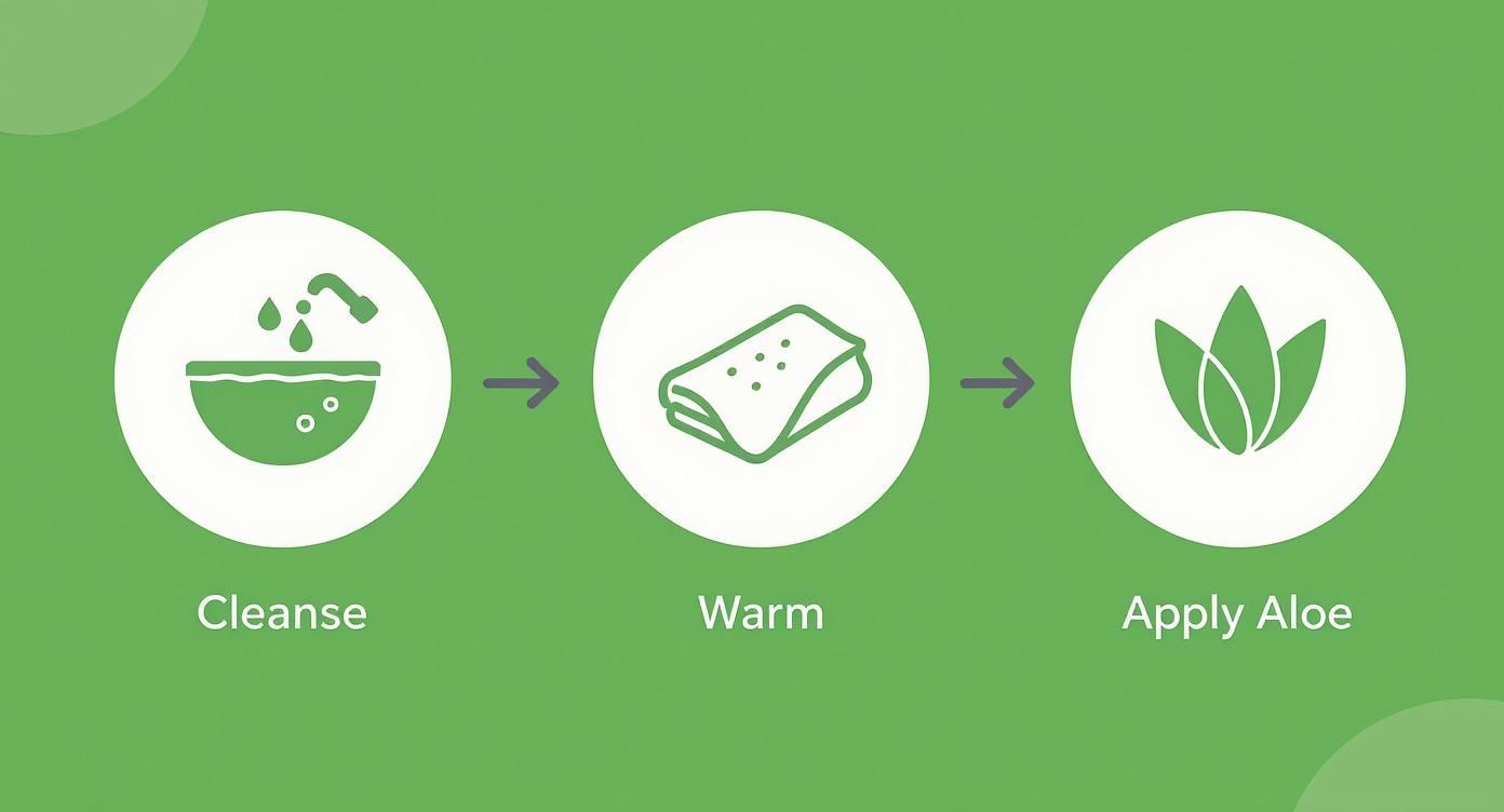 Infographic about aloe vera as shaving gel