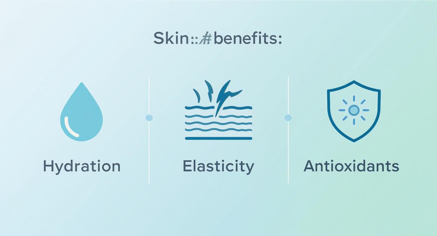Infographic about organic aloe vera juice benefits
