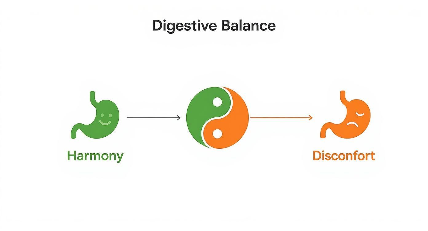 Infographic about natural remedies for digestive problems