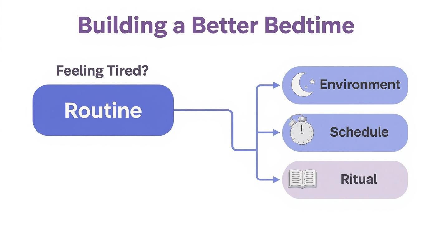 Infographic about natural sleep aids that work
