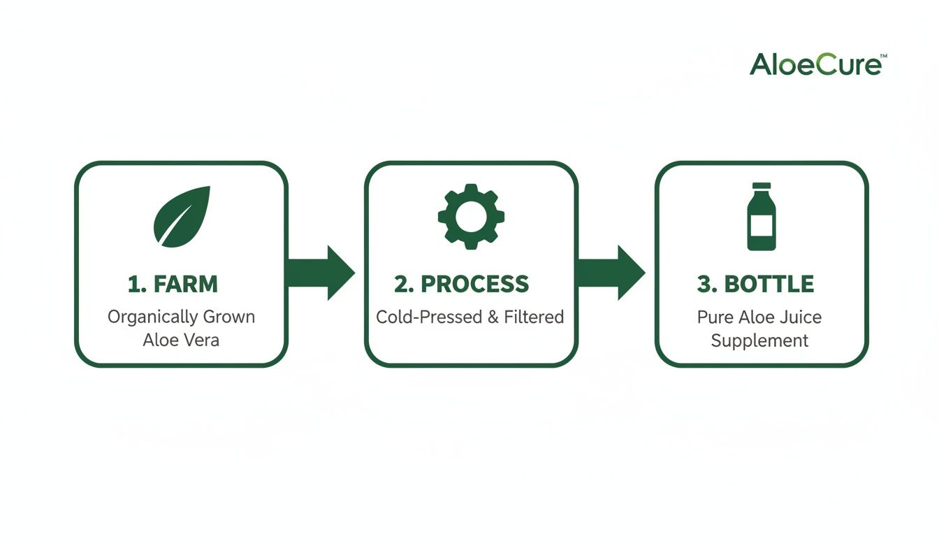 A three-step flowchart illustrates the production of AloeCure™ Pure Aloe Juice: farm, process, bottle.