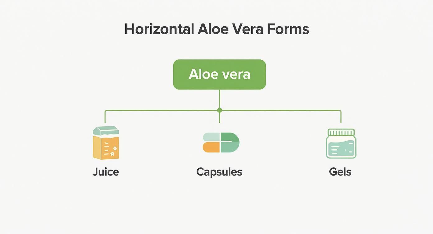 Infographic about best aloe vera supplements