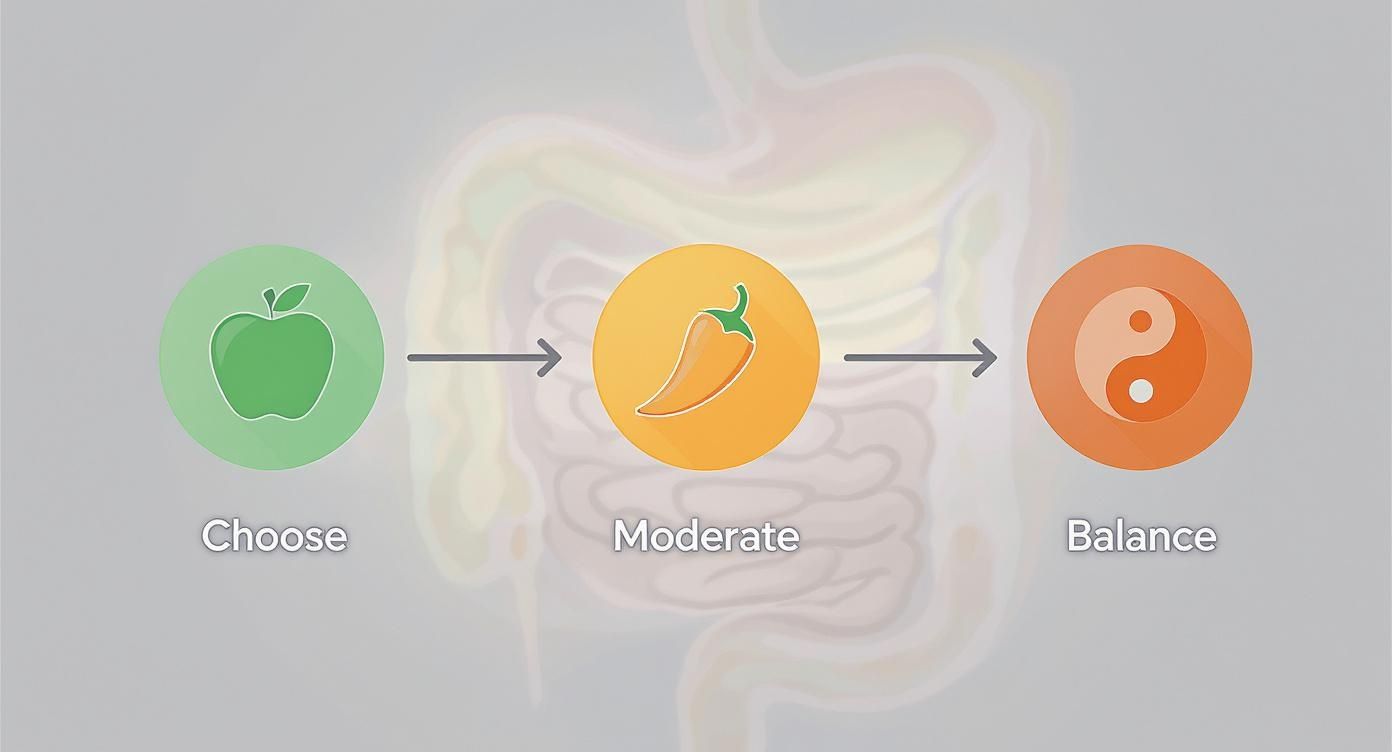 A three-step diagram illustrating food choices: 'Choose' (apple), 'Moderate' (chili), 'Balance' (Yin-Yang).