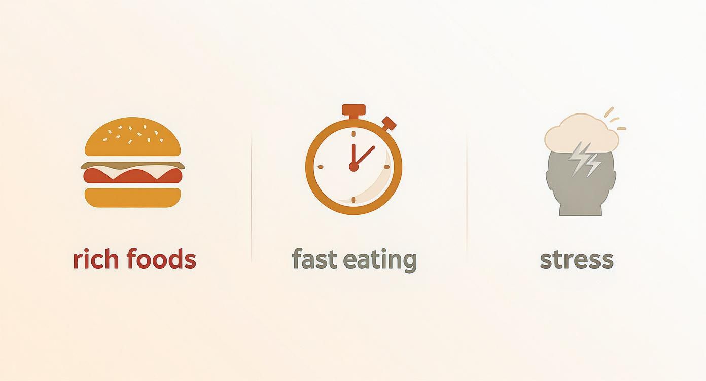 Infographic showing that rich foods, fast eating, and stress can challenge digestive comfort