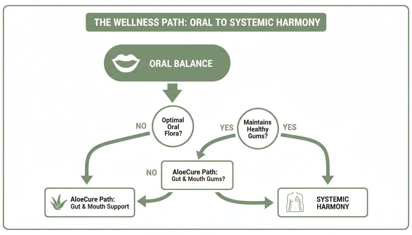 A flowchart titled 'The Wellness Path: Oral to Systemic Harmony', illustrating the connection between oral health and overall well-being.