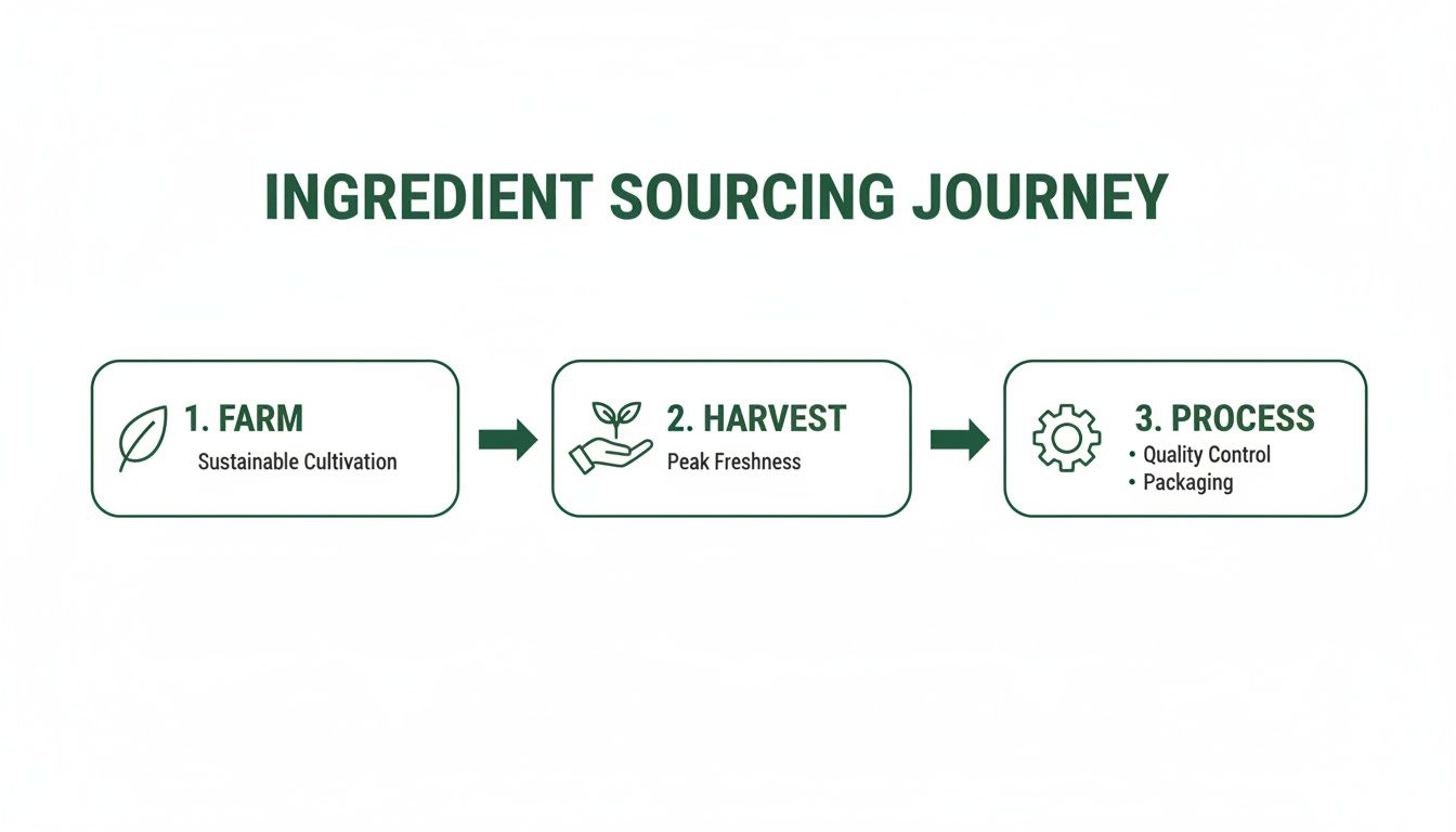 Flowchart illustrating the ingredient sourcing journey from farm to harvest to processing, emphasizing quality.