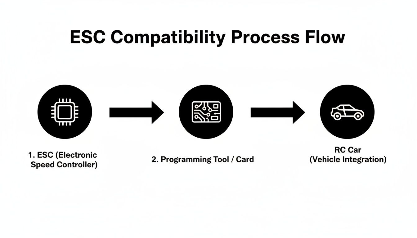 A flowchart illustrating the ESC compatibility process, showing steps from the electronic speed controller to the programming tool and RC car integration.