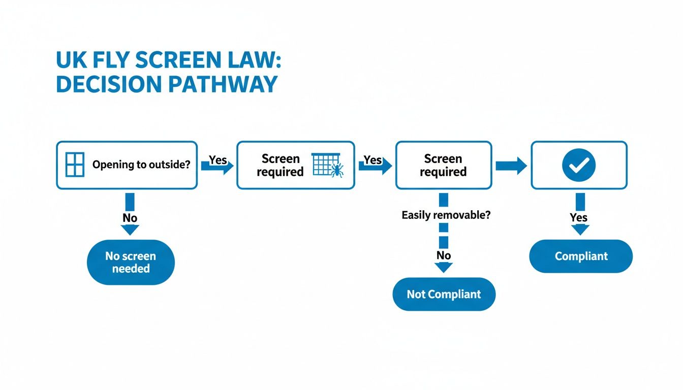 Flowchart illustrating the UK fly screen law decision pathway for compliance.
