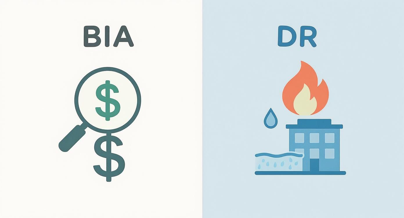 Illustration contrasting Business Impact Analysis (BIA) with financial focus and Disaster Recovery (DR) with building damage.