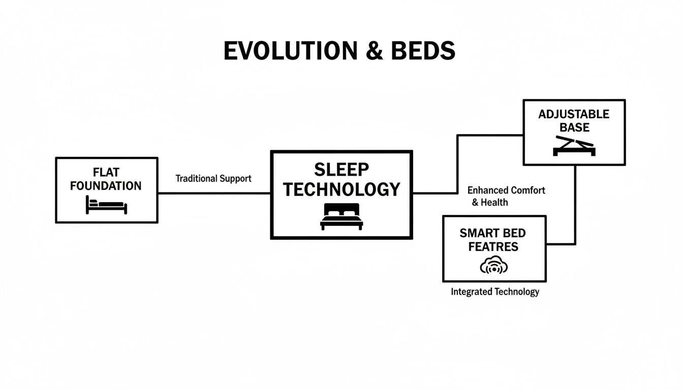 A flowchart illustrating the evolution of beds from flat foundations to advanced sleep technology, including adjustable bases and smart features.