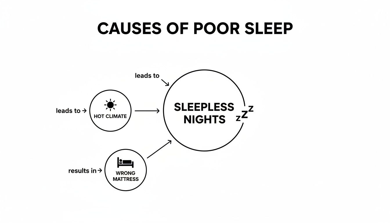 Diagram illustrating causes of poor sleep, showing hot climate and wrong mattress lead to sleepless nights.