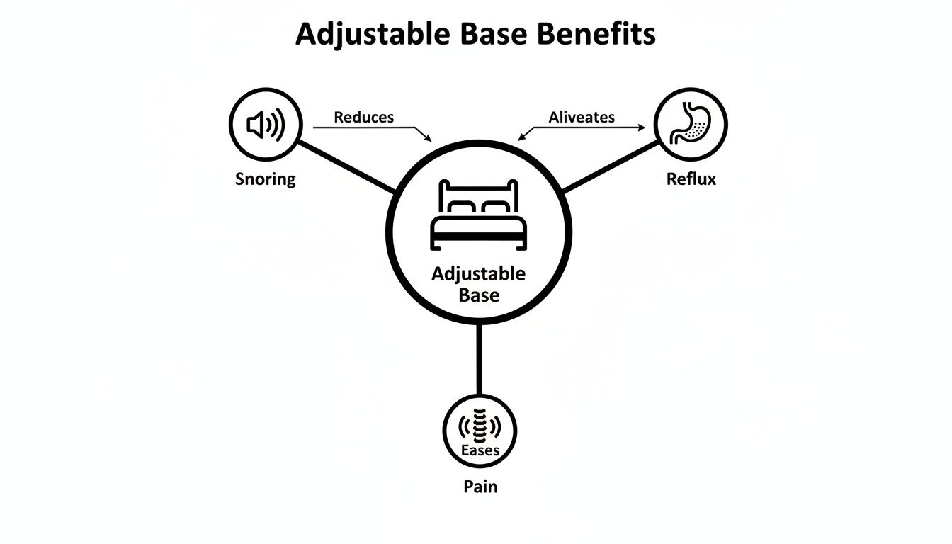 Infographic illustrating adjustable base benefits, showing it reduces snoring, alleviates reflux, and eases pain.