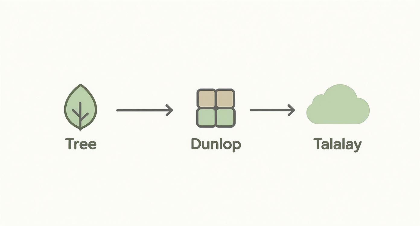 Infographic about best latex mattress