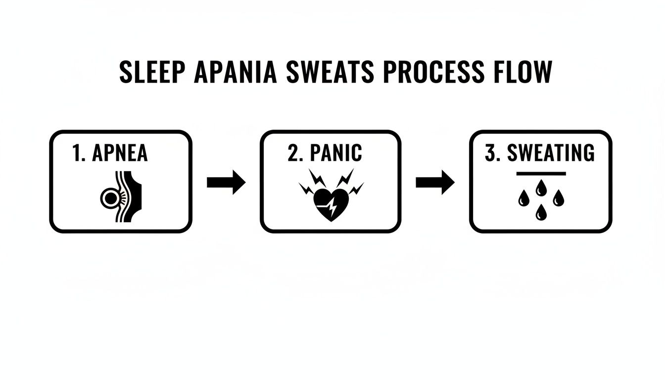 Flowchart illustrating the sleep apnea process: apnea leads to panic, then sweating.