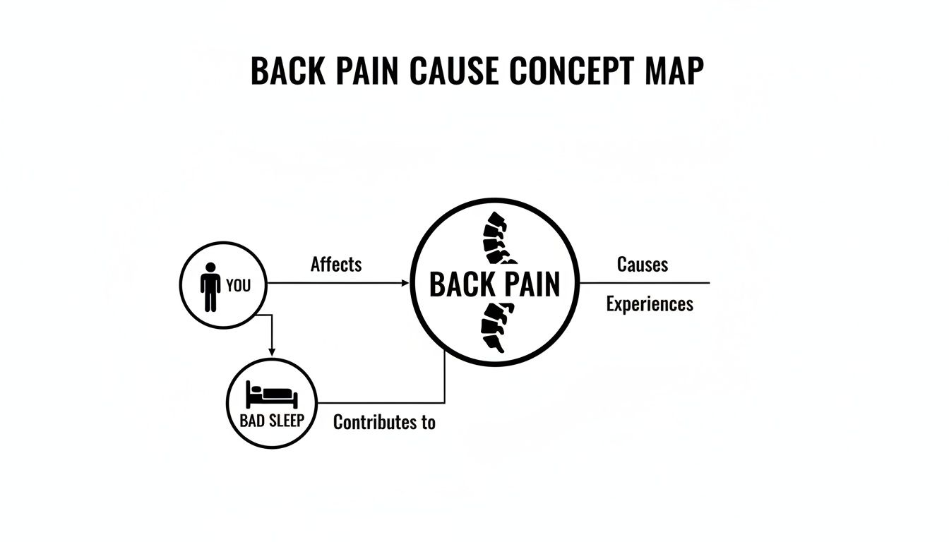 A concept map showing how 'You' and 'Bad Sleep' affect 'Back Pain'.