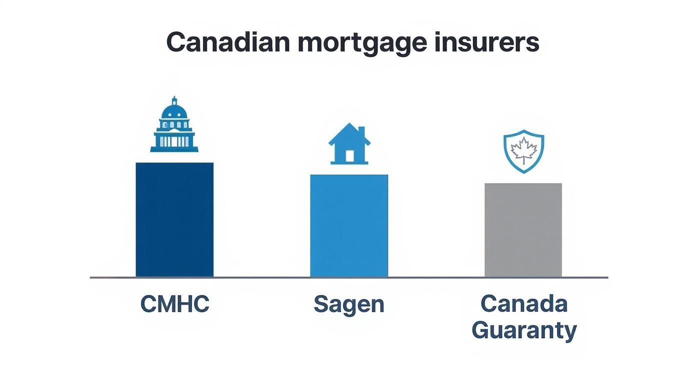 An infographic showing the three main Canadian mortgage insurers: CMHC, Sagen, and Canada Guaranty, each with a representative icon.