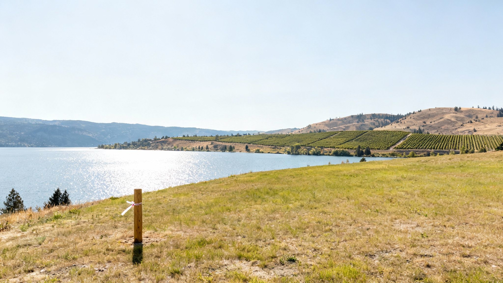 A scenic lake view with sun reflections, hills with vineyards, and a grassy foreground with a wooden post.