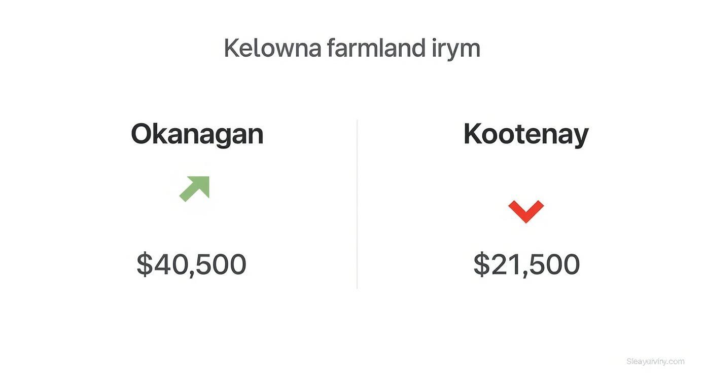 Comparison of Kelowna farmland prices: Okanagan shows an increase to $40,500, while Kootenay decreases to $21,500.