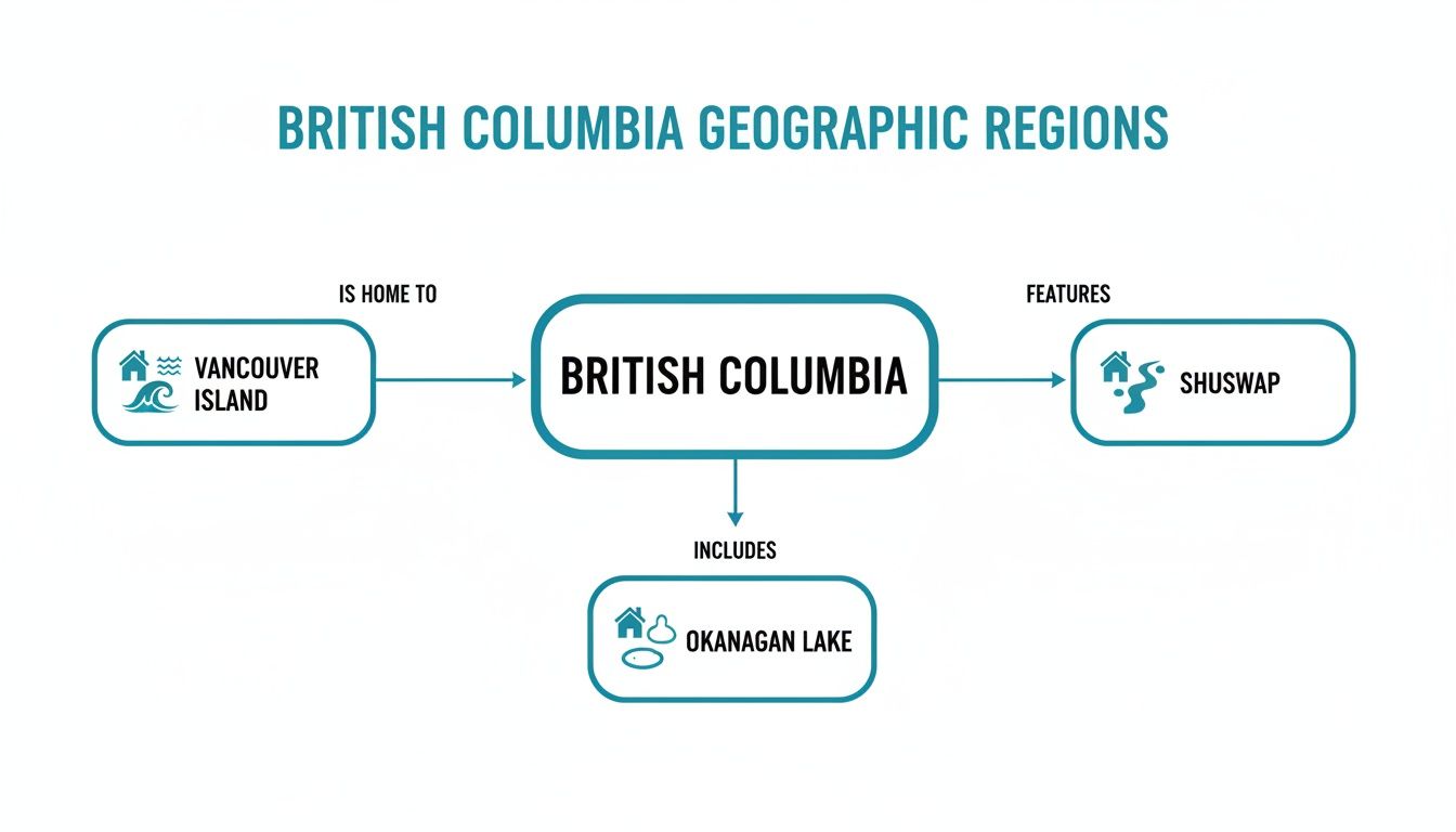 Flowchart showing British Columbia's geographic regions: Vancouver Island, Shuswap, and Okanagan Lake.