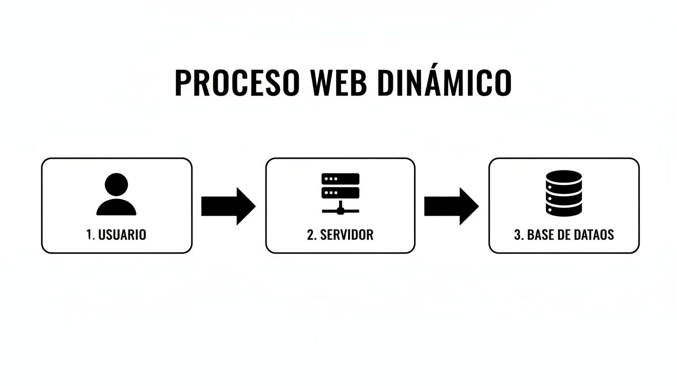 Diagrama del proceso web dinámico mostrando la interacción de usuario, servidor y base de datos.