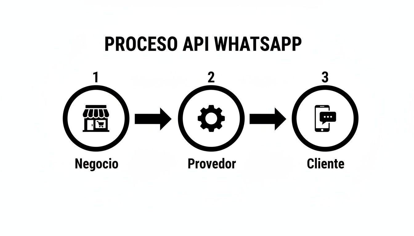 Diagrama del proceso de la API de WhatsApp, mostrando la interacción entre negocio, proveedor y cliente.