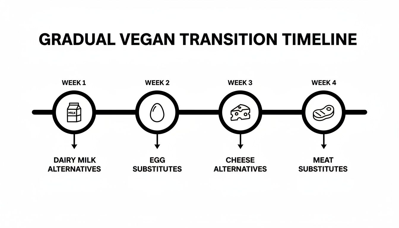 A timeline graphic outlining a 4-week gradual vegan transition, replacing dairy milk, eggs, cheese, and meat.