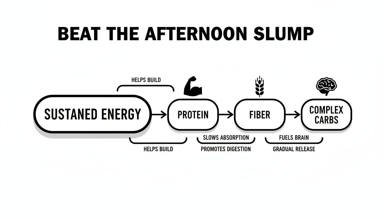 Flowchart detailing how protein, fiber, and complex carbohydrates provide sustained energy to beat the afternoon slump.