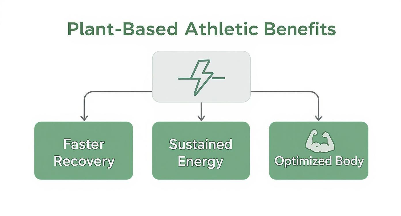 Diagram illustrating plant-based athletic benefits: faster recovery, sustained energy, and optimized body.