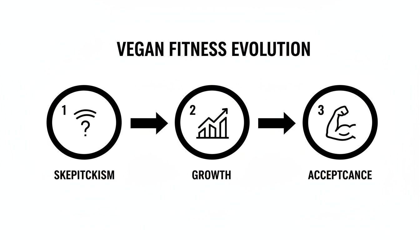 The Ultimate Vegan Bodybuilding Meal Plan For Muscle Gain Gym Snack the-ultimate-vegan-bodybuilding-meal-plan-for-muscle-gain-gym-snack