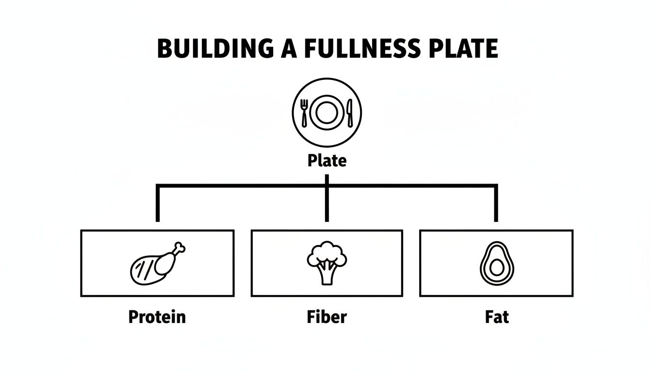 Diagram showing how to build a fullness plate with protein, fiber, and fat sources.