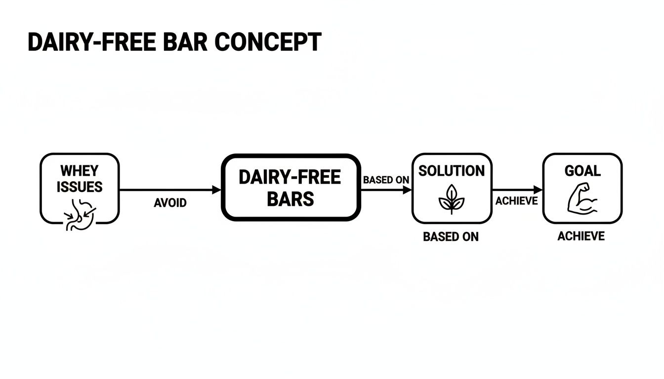 A flowchart illustrating the dairy-free bar concept: avoiding whey issues with plant-based solutions to achieve fitness goals.