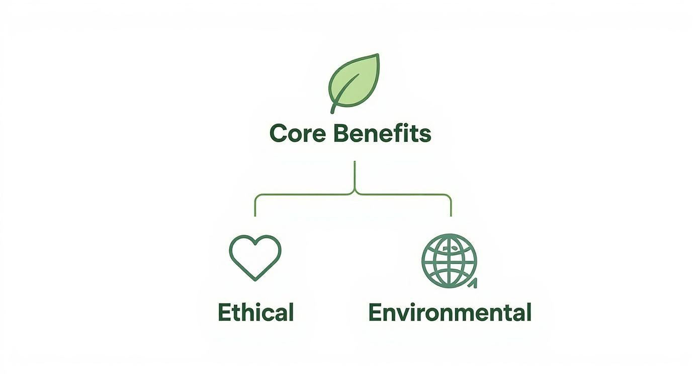 Diagram showing core benefits with a leaf icon, branching into ethical (heart icon) and environmental (globe icon).