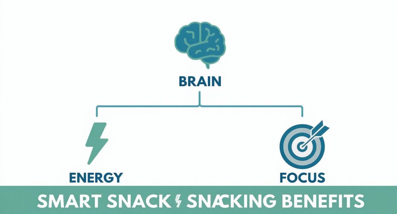 Infographic showing brain benefits of smart snacking including energy boost and improved focus