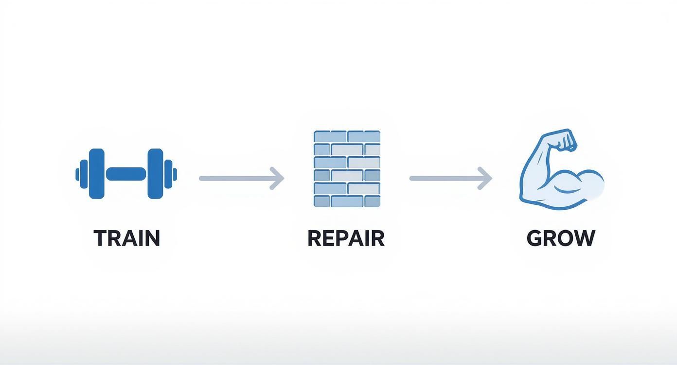 Infographic about high protein snacks for athletes