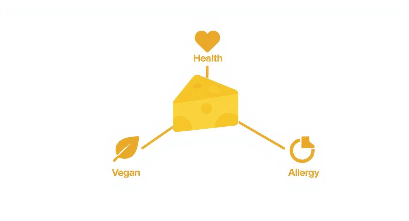 A diagram illustrating a cheese wedge connected to icons for health, vegan, and allergy considerations.