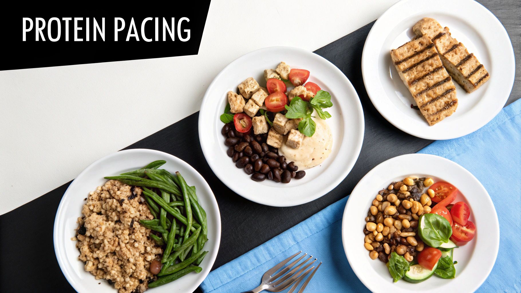 Overhead view of four healthy, protein-rich meals on white plates, with 'Protein Pacing' text.