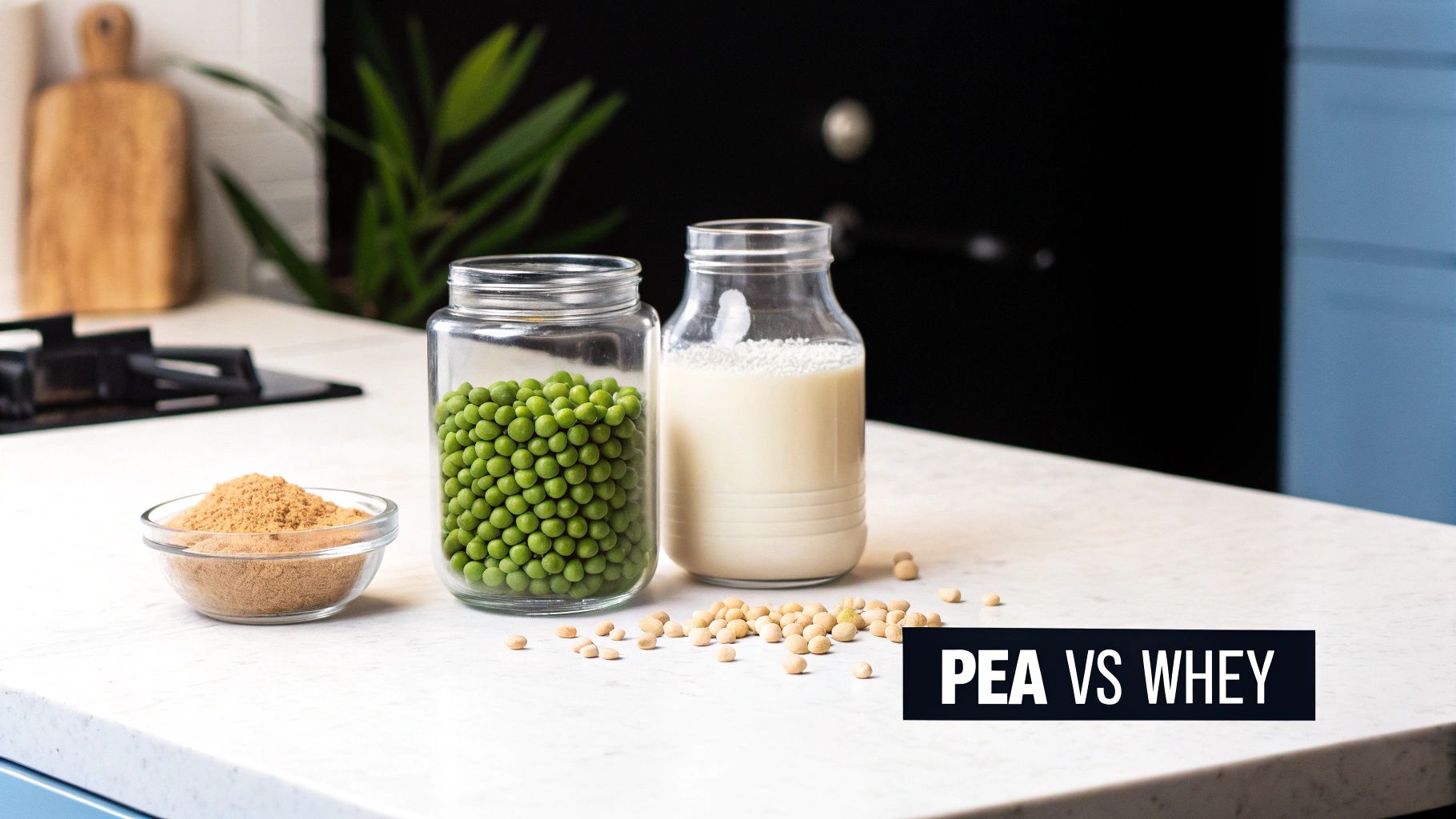Pea protein ingredients: a jar of green peas, protein powder, and plant-based milk on a counter for comparison with whey.