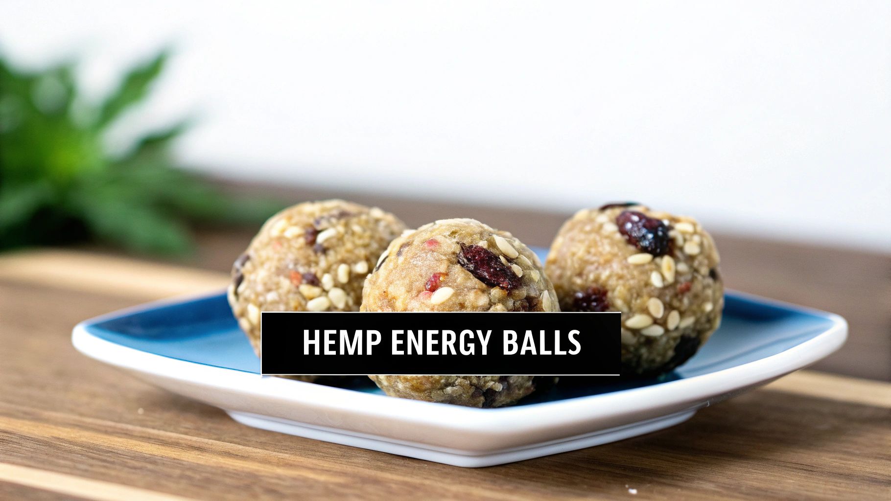 Delicious hemp energy balls made with seeds and dried fruit, served on a white and blue plate.