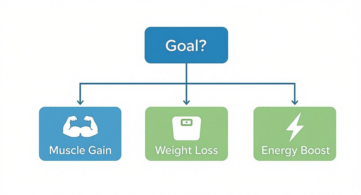 Fitness goal selection flowchart showing three options: muscle gain, weight loss, and energy boost
