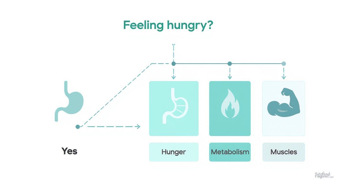 Infographic about high protein low calorie snacks