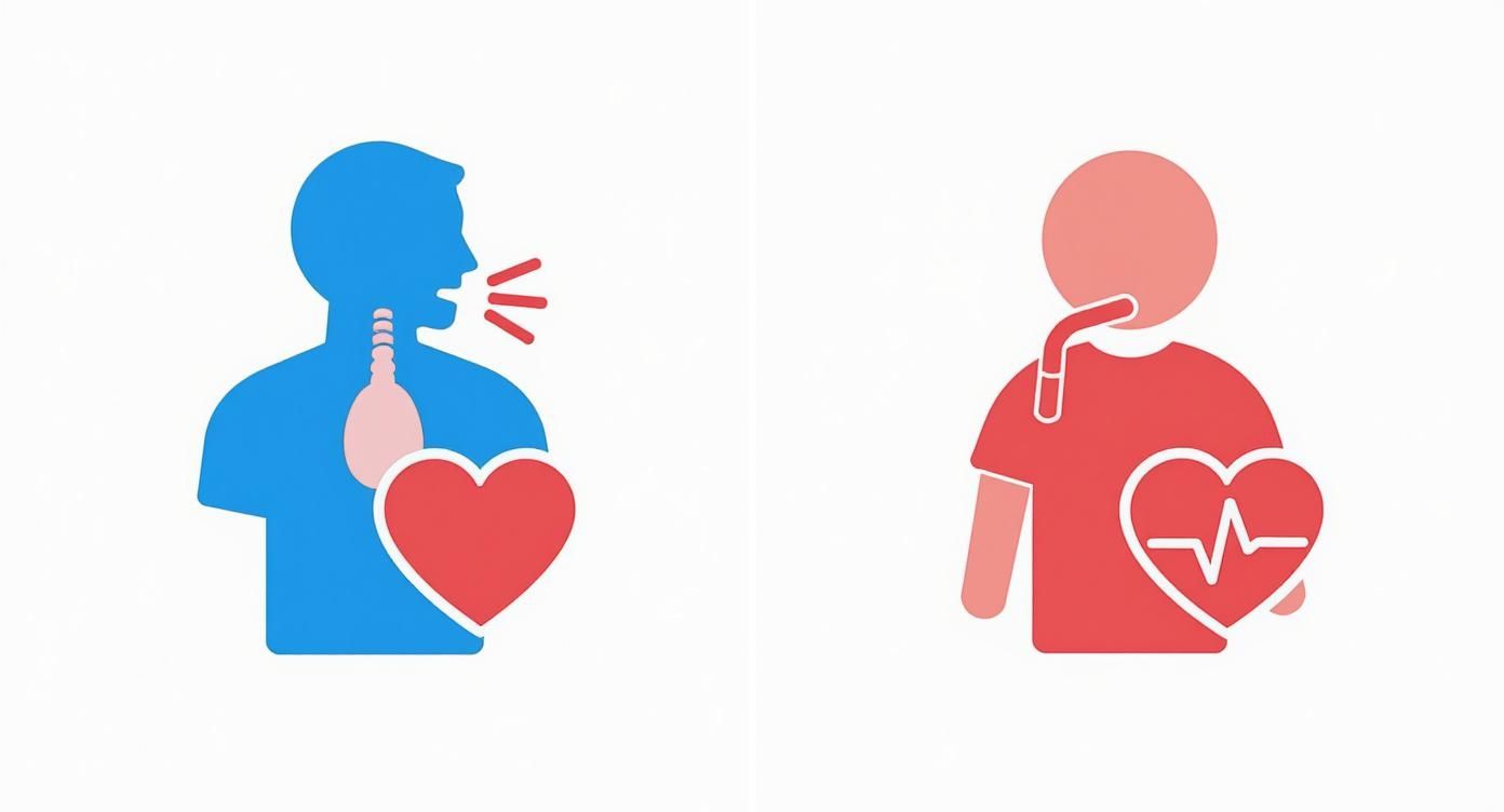 Infographic about paediatric first aid